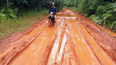 Jalan Provinsi Kalbar Bagai Kubangan Kerbau