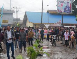 Janji tak Dipenuhi Warga Labuhanbatu Tanam Pohon di Jalan