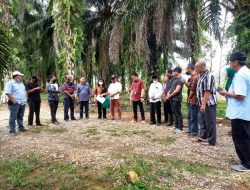 Tanah Marga Bangun Digugat Disidangkan PN