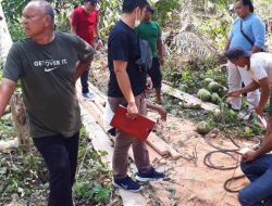 Lahan Dirusak Polres Langkat Cari Fakta  