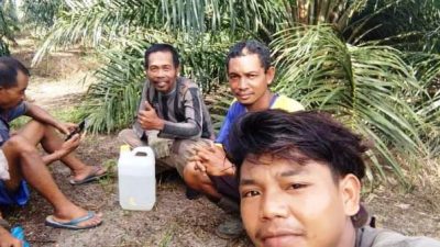 Menempuh 23 Kilometer Demi Pekerjaan Kebun Sawit