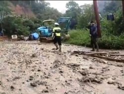 GEMPA-SU : Banyak Penebangan Liar di Mandailing Natal  