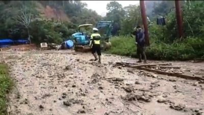 GEMPA-SU : Banyak Penebangan Liar di Mandailing Natal  
