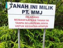 Pulau Poto Seluas 1000 Hektar di Kepri Diduga Dijual