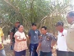 Lahannya Dilintasi Perusahaan Naomi Protes