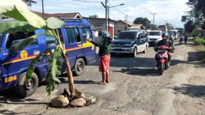 Jalan Jamin Ginting Tak Diperbaiki Warga Tanam Pisang