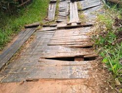 Jembatan Kayu Mengancam Keselamatan Warga Jelai Hulu