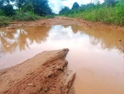 Jalan Provinsi dari Kendawangan  – Marau Perlu Perbaikan