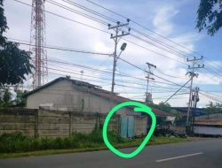 Pagar Penangkaran Ikan Bintang Kalbar Dibobol Tersangka Berkeliaran