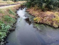 Limbah PKS PT Bukit Palem Cemari Lingkungan Kecamatan Singkup