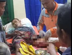 Warga Kelurahan Pulau Temiang Tebo Ulu Diterkam Buaya