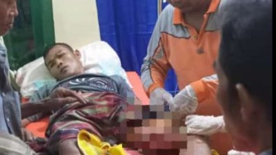 Warga Kelurahan Pulau Temiang Tebo Ulu Diterkam Buaya