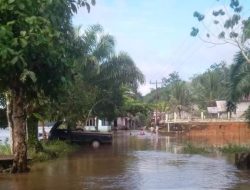 Rumah Warga Nangatayap Tenggelam Akibat Banjir