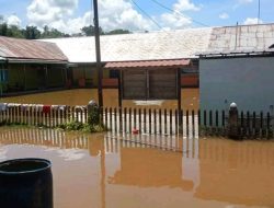 Banjir Melanda Warga Nangatayap Butuh Bantuan   