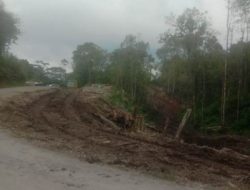 Food Estate Pakpak Bharat Tanam Jagung Potong Kayu