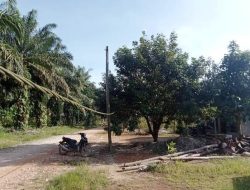 Kabel PLN di Sukamulia Mengancam Warga