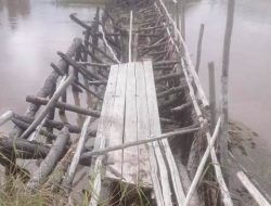 Jembatan Kayu Desa Air Tarap Rawan Keselamatan  
