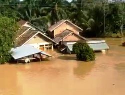 Desa Lubuk Madrasah Dilanda Banjir Saat Idul Fitri  