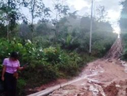 Jalan Tumbang Titi dan Jelai Ulu Rusak Parah