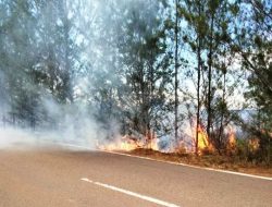 Kebakaran Lahan di Pagar Mentimun Ganggu Pelintas Jalan