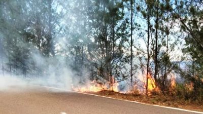 Kebakaran Lahan di Pagar Mentimun Ganggu Pelintas Jalan