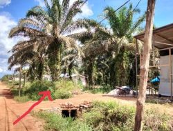 Kabel PLN di Wanareja Mengancam Keselamatan Warga