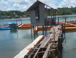 Ribuan Ekor Ikan Keramba Mati Diduga Dampak Limbah TBB