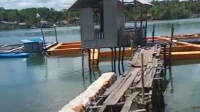 Ribuan Ekor Ikan Keramba Mati Diduga Dampak Limbah TBB