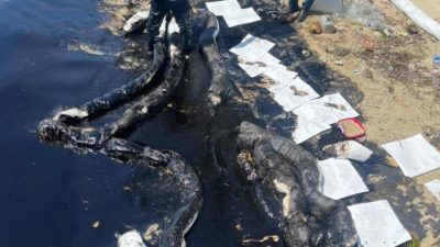 Polda Kepri Selidiki Tumpahan Minyak di Perairan kota Batam