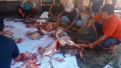 Paguyuban Gemako Sembelih 6 Ekor Kambing Kurban