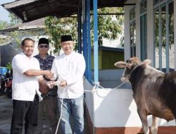 Sekda Ketapang Serahkan Kurban
