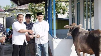 Sekda Ketapang Serahkan Kurban