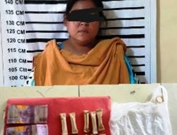 Polsek Pangkalan Brandan Tangkap Ibu Jual Narkotika