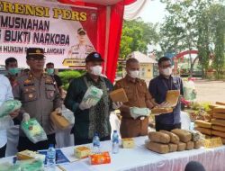 Polres Langkat Musnahkan Barang Bukti Narkotika Senilai 20 M