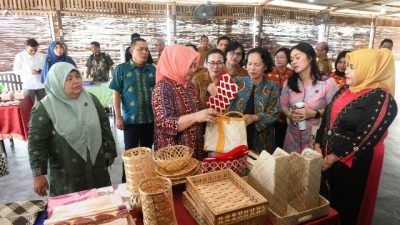 Pelatihan Menganyam Dekranasda Sumut di Gunungsitoli
