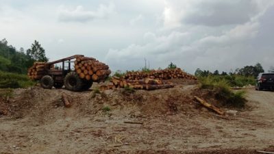 Diduga Ilegal Logging DLHK Sumut Amankan Truk dan Muatannya  