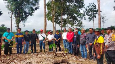 DAD Kecamatan Permata Kecubung Temukan Pelanggaran PT MMaL