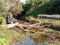 Rehabilitasi Parit Teratong Diduga Asal Jadi