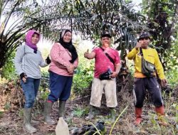 PHK Dahulu Borongan Kemudian