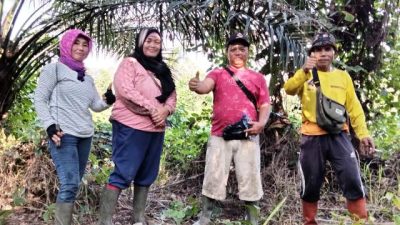 PHK Dahulu Borongan Kemudian