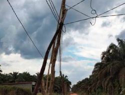 Kabel PLN Bagai Jemuran Pakaian