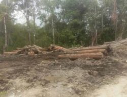 Implementasi Food Estate Ada Unsur Kepentingan Pribadi