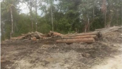 Implementasi Food Estate Ada Unsur Kepentingan Pribadi