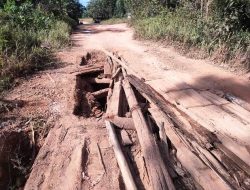 Jalan Provinsi Kabupaten Ketapang Perlu Perbaikan