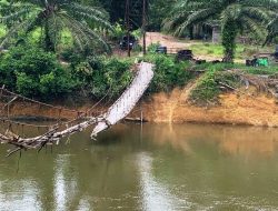 Surat Sekda Ketapang Tidak Direspon Camat Manis Mata ?