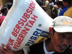 Data Pupuk Subsidi Lengkap di Lapangan Terdengar Keluhan