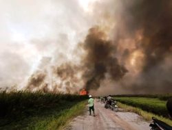 Pulahan Hektar Lahan Terbakar di Muara Pawan