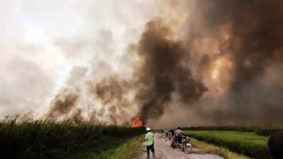 Pulahan Hektar Lahan Terbakar di Muara Pawan
