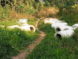 Belasan Gorong -Gorong Disembunyikan di Desa Asam Besar
