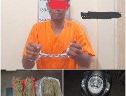 Sat Narkoba Polres Langkat Amankan HN dan 2 Kilogram Ganja